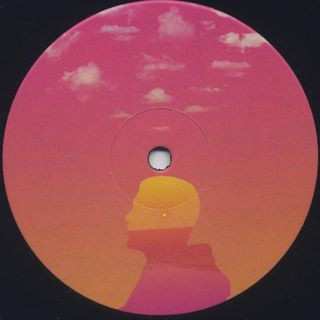 LP B. Bravo: Paradise Remixes