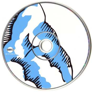 CD Baby Ray: Monkeypuzzle