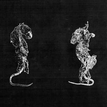 Album Balzemad: Verschleib Durch Abrieb