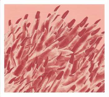 2CD/Dobozkészlet/Blu-ray Band-Maid: Unseen World LTD