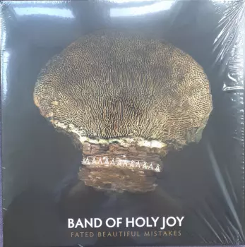 Band Of Holy Joy: Fated Beautiful Mistakes