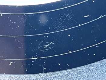 LP Barbra Streisand: My Name Is Barbra