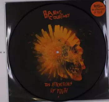 Barns Courtney: The Attractions Of Youth
