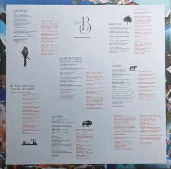 LP Bartees Strange: Farm To Table CLR | LTD