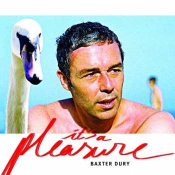Album Baxter Dury: It's A Pleasure