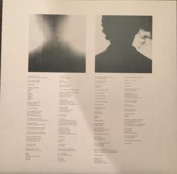 2LP Beach Fossils: Clash The Truth + Demos DLX | LTD | CLR