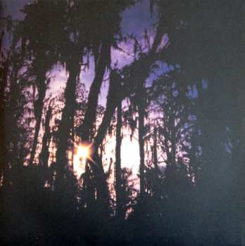 2LP Beach House: Bloom
