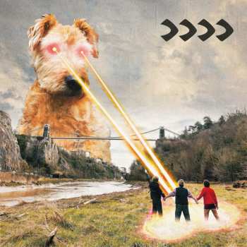 CD Beak>: >>>>