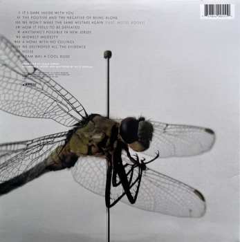 LP Before Their Eyes: Midwest Modesty LTD