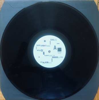 LP Belgrado: Obraz