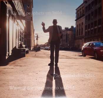 LP/SP Belle & Sebastian: A Bit Of Previous LTD