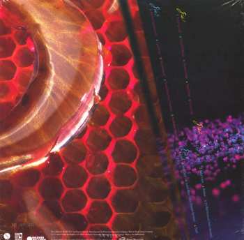 2LP Belly: Bees LTD | NUM