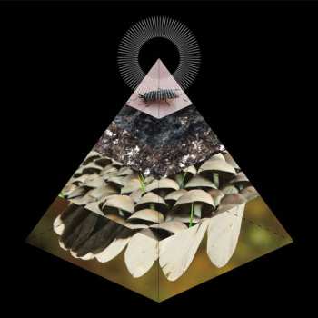 Album Belus: Apophenia