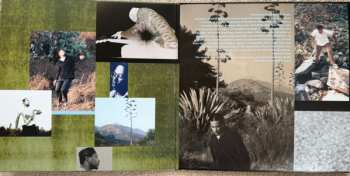 2LP Ben Harper: Welcome To The Cruel World CLR | LTD