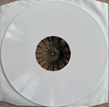 2LP Ben Harper: Welcome To The Cruel World CLR | LTD