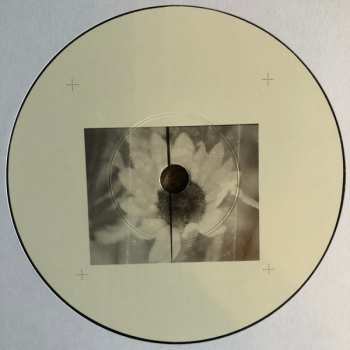 SP Ben Howard: What A Day LTD