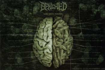 CD Benighted: Insane Cephalic Production