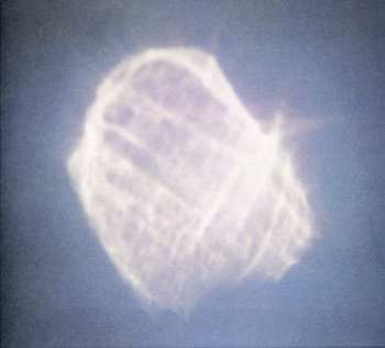 Album Benoit Pioulard: Temper