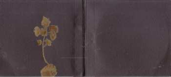 CD Bernhari: Bernhari