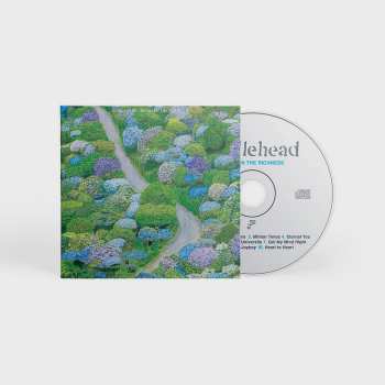 CD Fiddlehead: Between the Richness