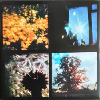 2LP Bibio: Fi