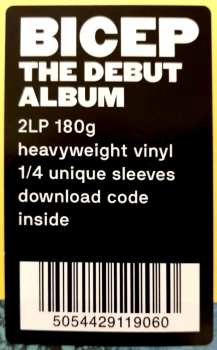 2LP Bicep: Bicep