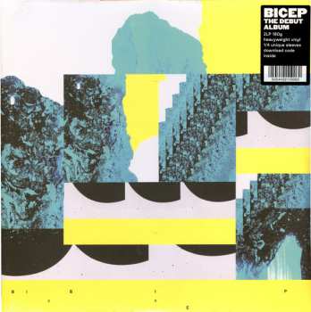 2LP Bicep: Bicep
