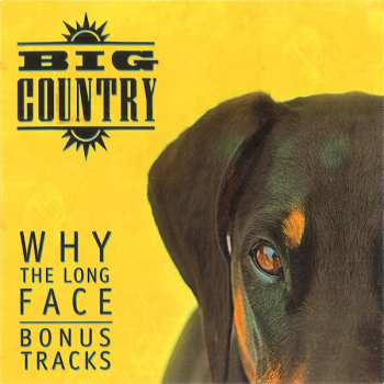 4CD/Dobozkészlet Big Country: Why The Long Face DLX