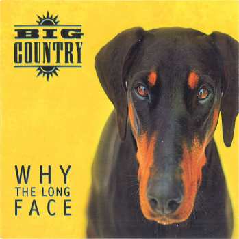 4CD/Dobozkészlet Big Country: Why The Long Face DLX