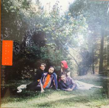 LP Big Thief: U.F.O.F.