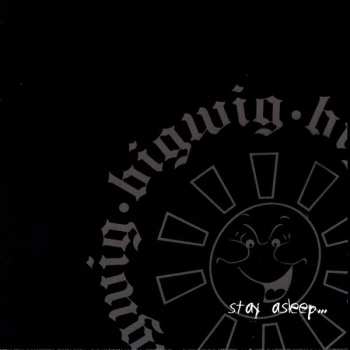 Album Bigwig: Stay Asleep
