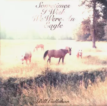 Bill Callahan: Sometimes I Wish We Were An Eagle