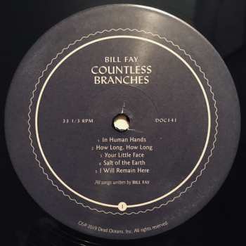 2LP Bill Fay: Countless Branches DLX | LTD