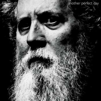 Album Bill Orcutt: Another Perfect Day