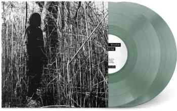 Today, I Wrote Nothing