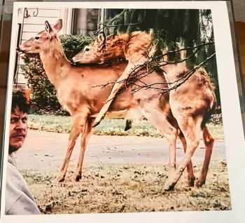 LP Bilmuri: American Motor Sports