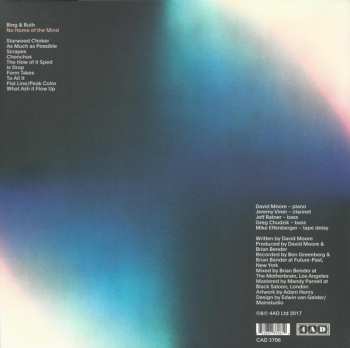 2LP Bing And Ruth: No Home Of The Mind LTD | CLR