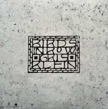 LP Birds In Row: Gris Klein LTD | CLR