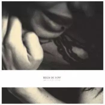 Birds In Row: You, Me & The Violence