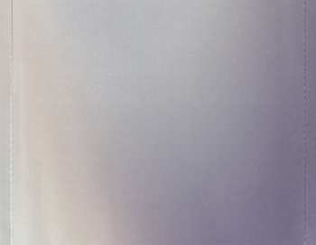 CD Bishop Briggs: Champion