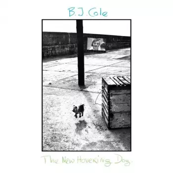 BJ Cole: The New Hovering Dog