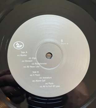 LP Björk: Homogenic LTD