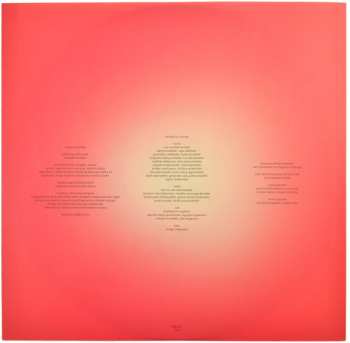 2LP Björk: Vulnicura Strings