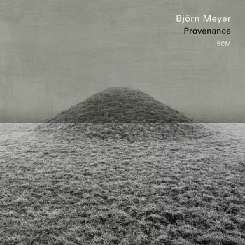 Björn Meyer: Provenance
