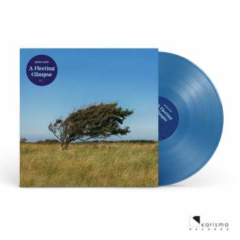 Album Bjørn Riis: A Fleeting Glimpse