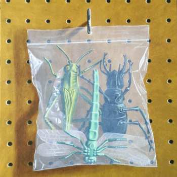 4LP/Dobozkészlet Black Country, New Road: Ants From Up There DLX | LTD