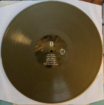 2LP Black Moth Super Rainbow: Panic Blooms LTD | CLR