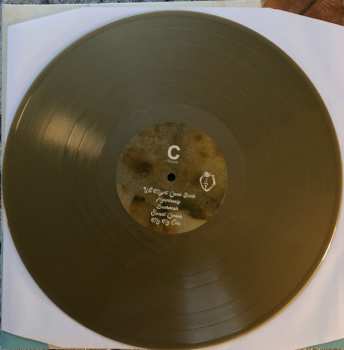 2LP Black Moth Super Rainbow: Panic Blooms LTD | CLR