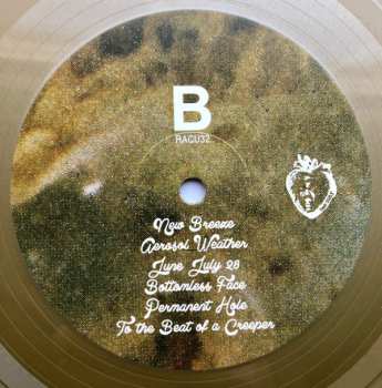 2LP Black Moth Super Rainbow: Panic Blooms LTD | CLR