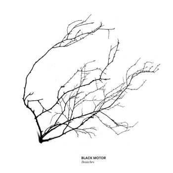 CD Black Motor: Branches